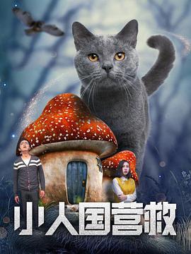 BD国语高清完整版