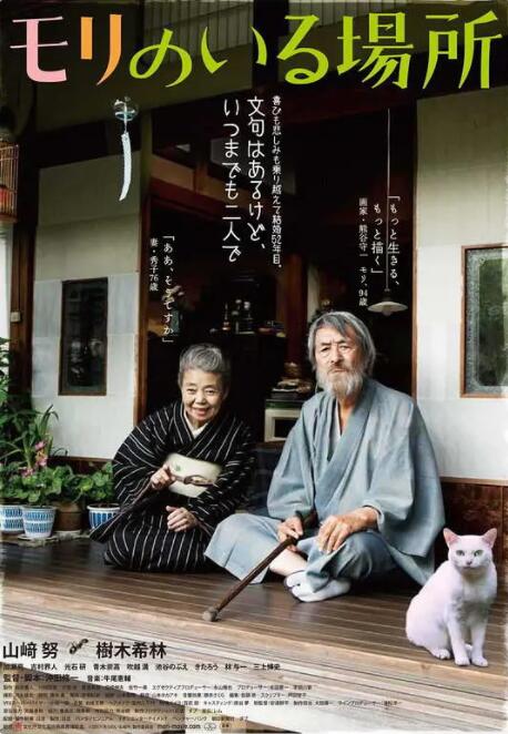完结高清影视