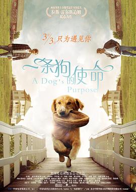 国语版