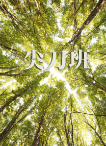 蓝光完整版在线看