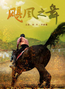BD国语全集免费观看